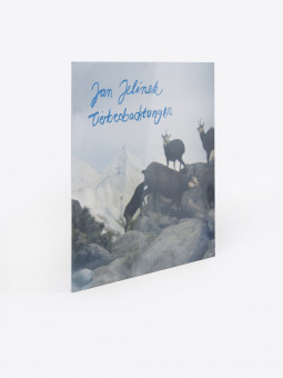 faitiche Jan Jelinek - Tierbeobachtungen