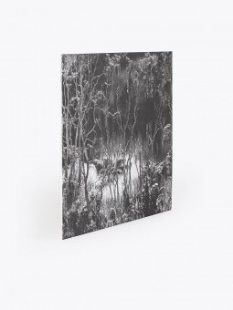 the trilogy tapes levantis - believe