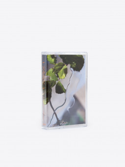 good morning tapes nueen - nova llum