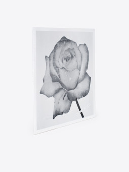 faitiche SG - For Lovers Only / Rain Suite