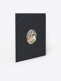 blundar Various - Untitled