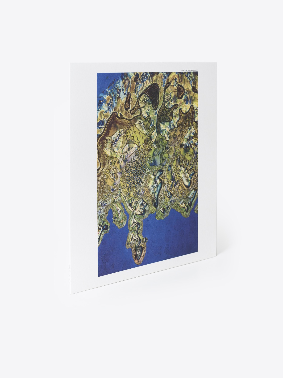 ominira Bisk - Vacation Package